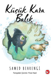 The Little Black Fish - Paperback